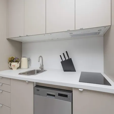 Modern With Air Conditioning In Downtown By Renters