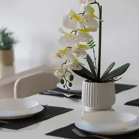 Apartamento Modern With Air Conditioning In Downtown By Renters